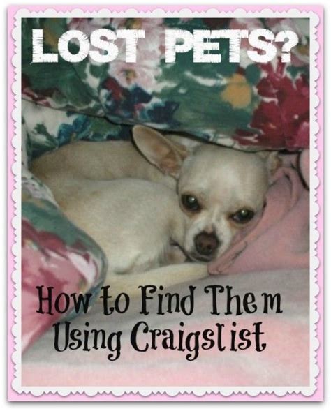 press to search <b>craigslist</b>. . Lexington craigslist pets